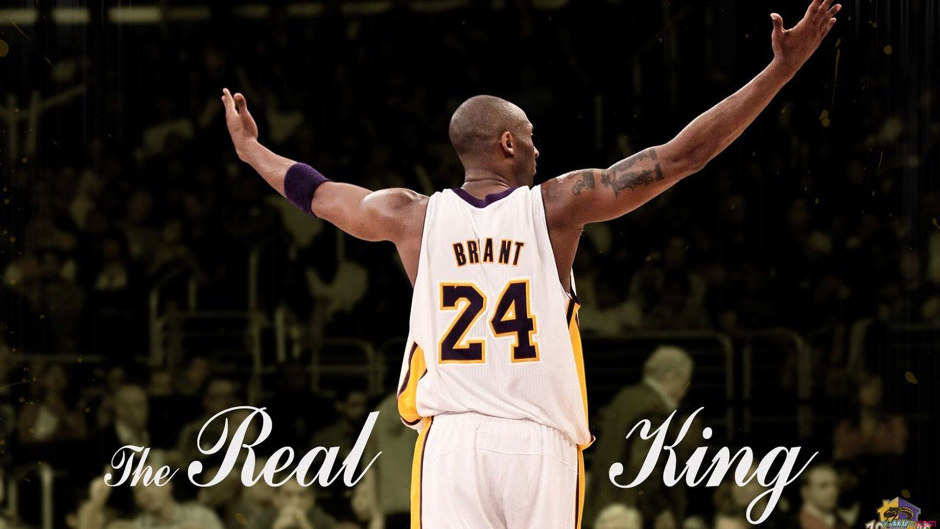 “舞步疾风，挑战极限！金牛区城北体育馆成全球运动舞蹈高手的竞技舞台”