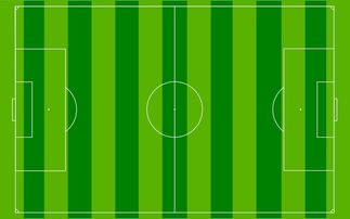 国足主场比赛战术布置与得分模型关联，国足阵容战术